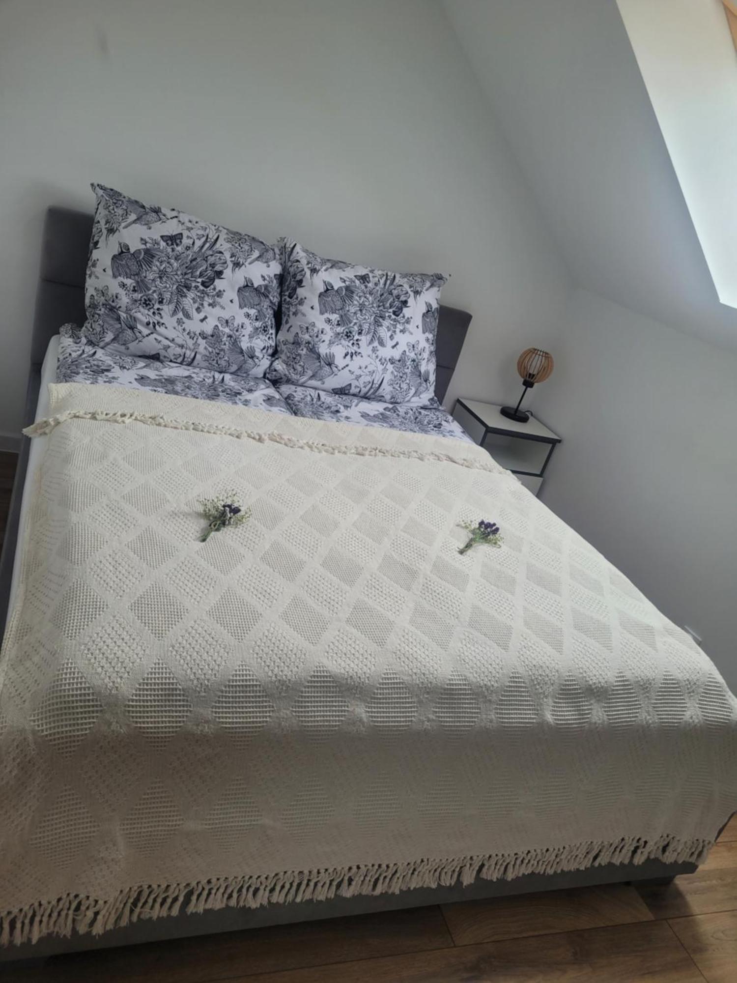 Czarna Perla Apartment Chlopy Ngoại thất bức ảnh