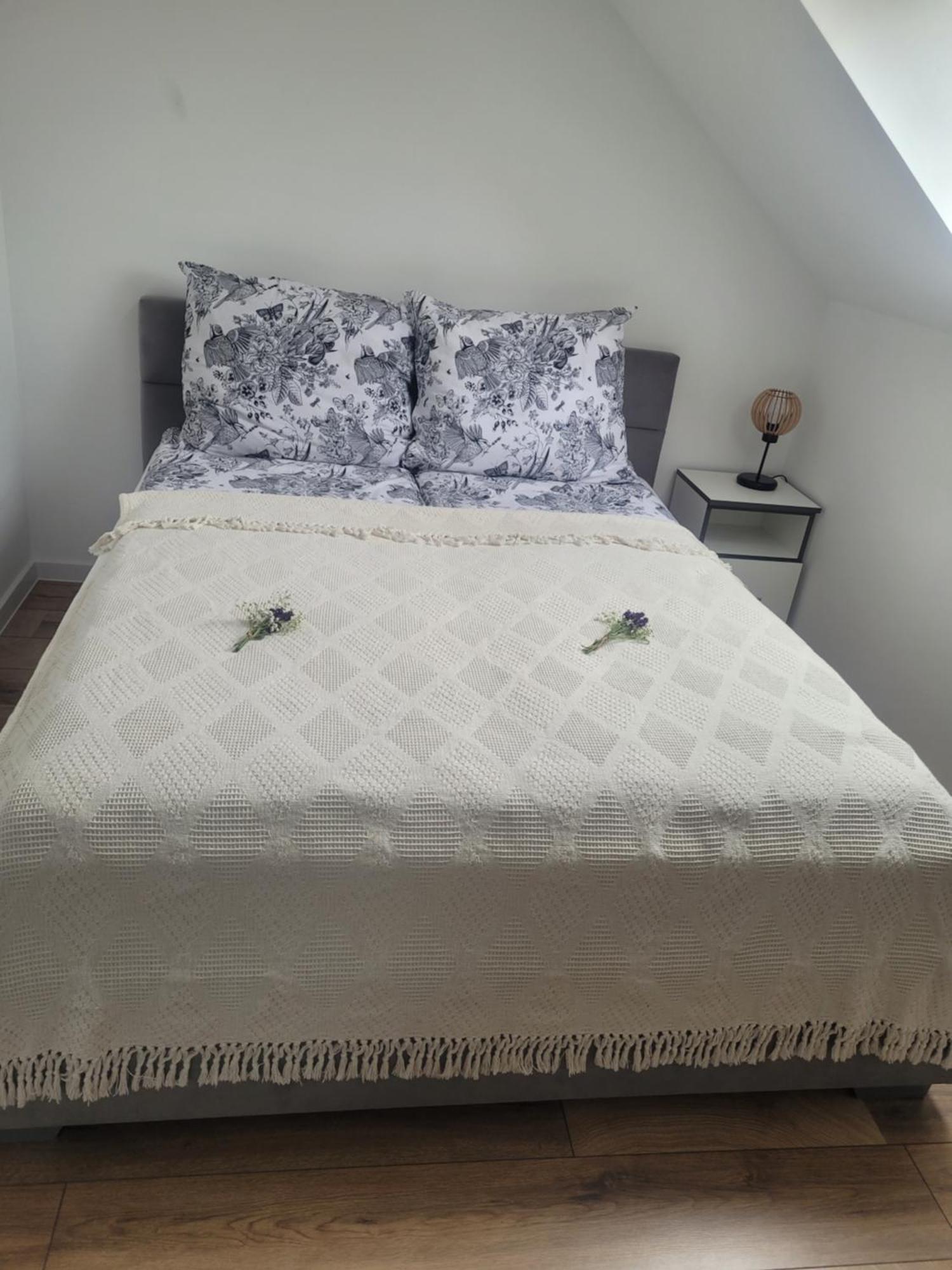 Czarna Perla Apartment Chlopy Ngoại thất bức ảnh